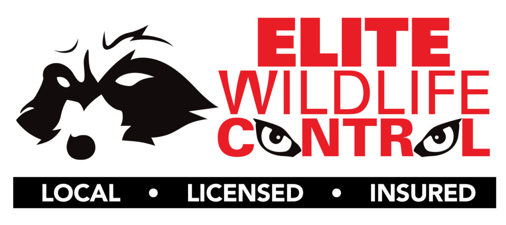 Elite Wildlife & Control - Wildlife Animal Services