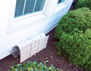 Wildlife Trapping and Removal for Skunks in West Knoxville, TN